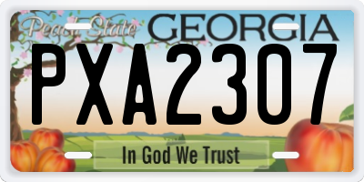 GA license plate PXA2307