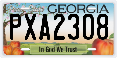 GA license plate PXA2308