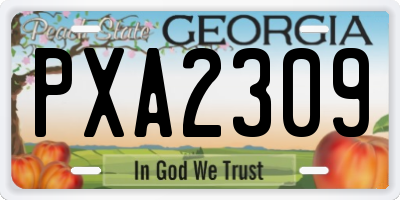 GA license plate PXA2309