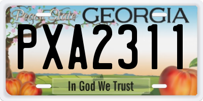 GA license plate PXA2311