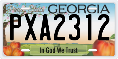 GA license plate PXA2312