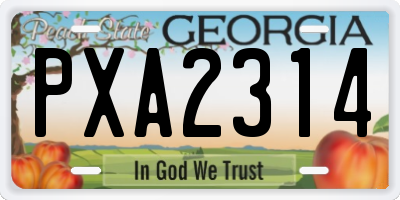 GA license plate PXA2314