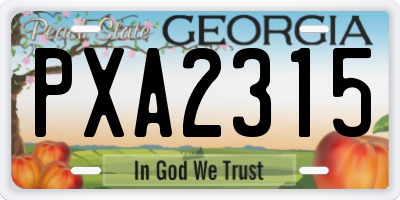 GA license plate PXA2315