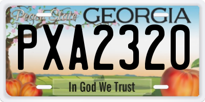 GA license plate PXA2320