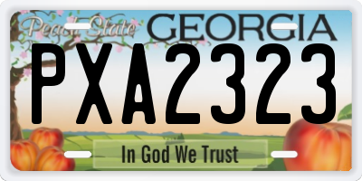 GA license plate PXA2323