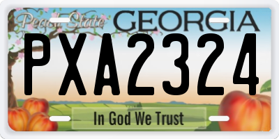 GA license plate PXA2324