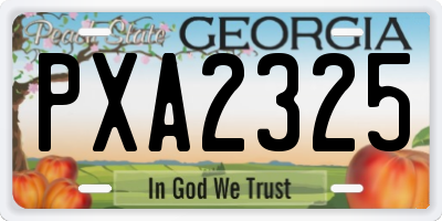 GA license plate PXA2325