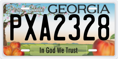 GA license plate PXA2328