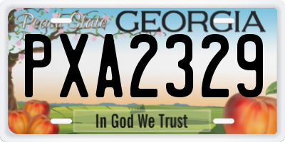 GA license plate PXA2329