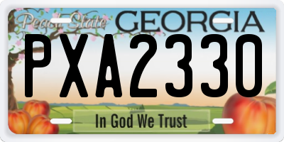 GA license plate PXA2330