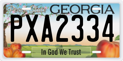 GA license plate PXA2334