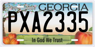 GA license plate PXA2335