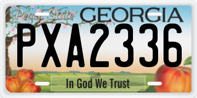 GA license plate PXA2336