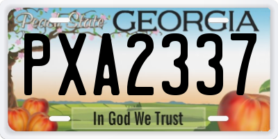 GA license plate PXA2337