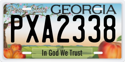 GA license plate PXA2338