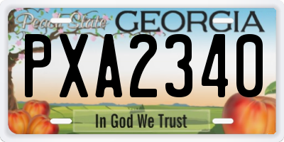 GA license plate PXA2340