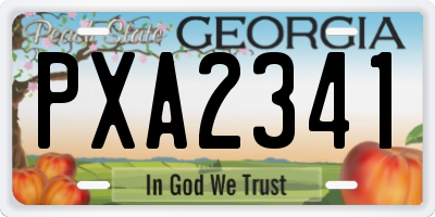 GA license plate PXA2341