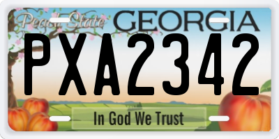 GA license plate PXA2342