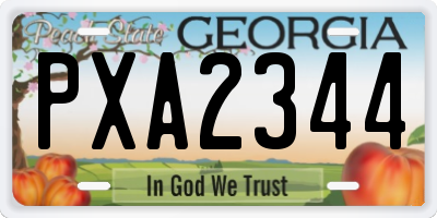 GA license plate PXA2344