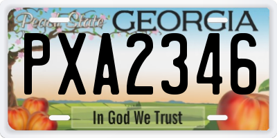 GA license plate PXA2346