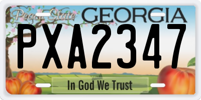 GA license plate PXA2347