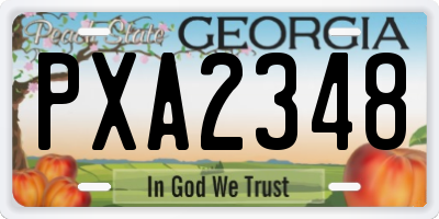 GA license plate PXA2348
