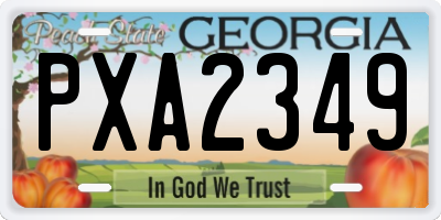 GA license plate PXA2349