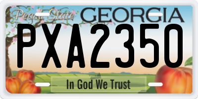 GA license plate PXA2350