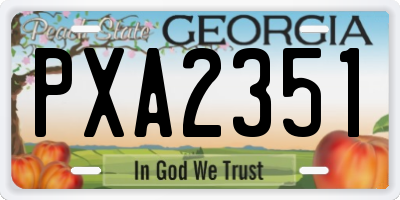 GA license plate PXA2351