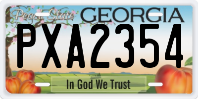 GA license plate PXA2354