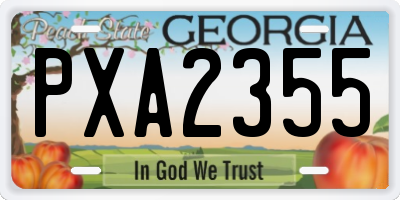 GA license plate PXA2355