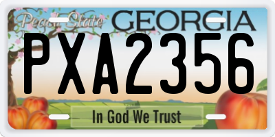 GA license plate PXA2356