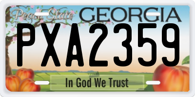 GA license plate PXA2359