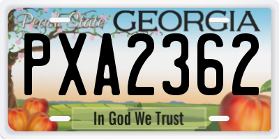 GA license plate PXA2362