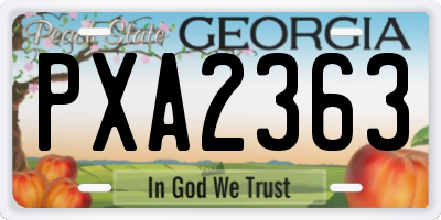 GA license plate PXA2363