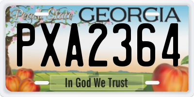 GA license plate PXA2364