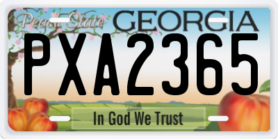 GA license plate PXA2365