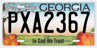 GA license plate PXA2367