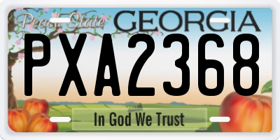 GA license plate PXA2368