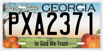 GA license plate PXA2371