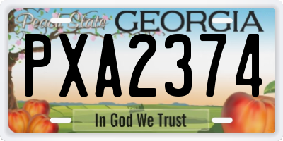 GA license plate PXA2374
