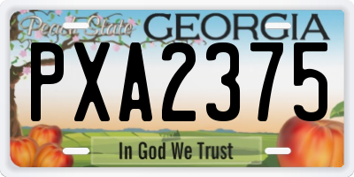 GA license plate PXA2375