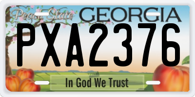 GA license plate PXA2376
