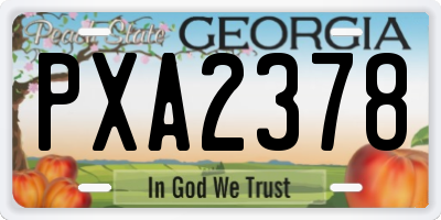 GA license plate PXA2378