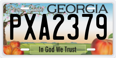 GA license plate PXA2379