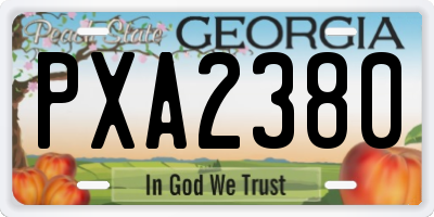 GA license plate PXA2380