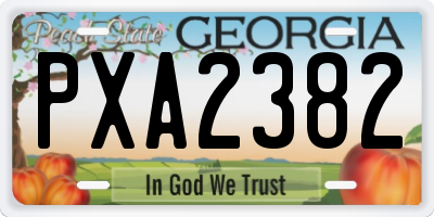 GA license plate PXA2382