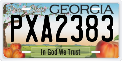 GA license plate PXA2383
