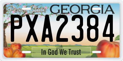 GA license plate PXA2384