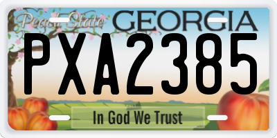 GA license plate PXA2385